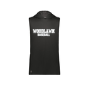 Men's CoolDry Sleeveless Hoodie